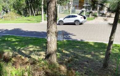 Imagem 9: Terreno de 430 m2 no Bairro Vivendas do Arvoredo