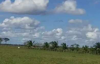 Imagem: A fazenda possui 103.000m² de Área, Churrasqueira, Piscina