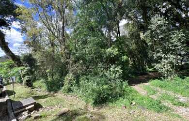 Imagem 4: Terreno em Condomínio - Bairro Pinheiro Grosso