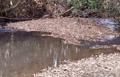 Imagem 13: Chácara em Aragoiania. Piscina