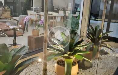 Imagem 12: Casa 04 suítes e piscina com borda infinita / Mybroker codigo 148188