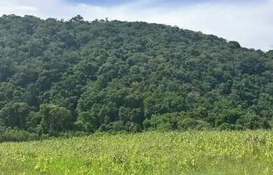 Imagem 7: Localização estratégica KM 82 da Rodovia Bunjiro Nakao Apenas 1 km...