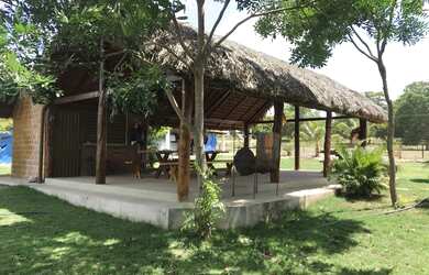 Imagem 15: Fazenda 42 alqueires. 42m² de Área Privada