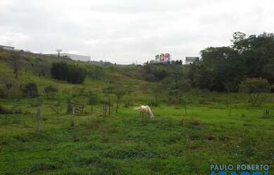 Imagem: O terreno possui 20.000m² de Área e está localizado em Cururuquara