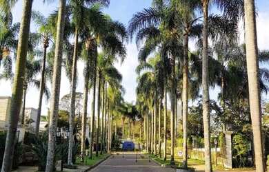 Imagem 2: CASA EM CONDOMÍNIO - ALTO DA BOA VISTA - SP