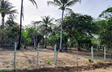 Imagem 2: Terreno para Venda em Porto Seguro, Caraiva