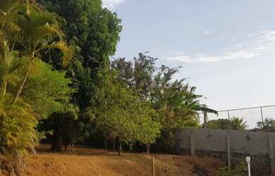 Imagem 6: Sítio para Venda - Boa Vista da Serra, Juatuba - 3000m², 1 vaga