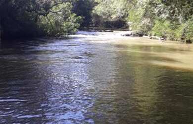 Imagem: A fazenda possui 50m² de Área e está localizado em Laranjal