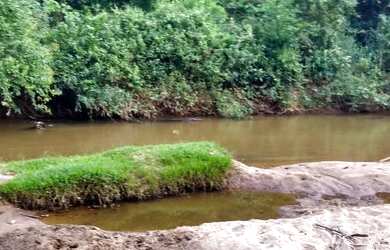 Imagem 6: Sítio para venda com 54.000 metros quadrados São Fidélis - RJ