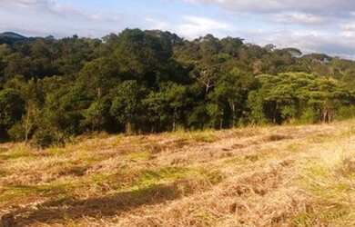 Imagem 16: Lote/Terreno para venda com 600 metros quadrados em Centro - Nazaré Paulista...