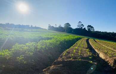 Imagem 5: Lote/Terreno para venda com 999 metros quadrados em Veleiros de Ibiúna - Ibiúna - São Paul