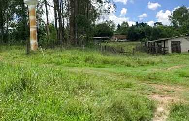 Imagem 5: FAZENDA A VENDA À APENAS 5 KM DO EMPÓRIO CASARÃO BR 060 Fazenda à...