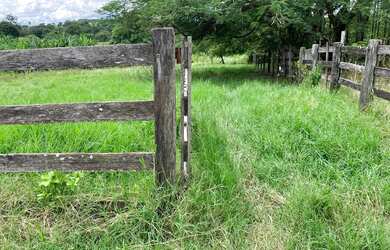 Imagem 9: FAZENDA A VENDA À APENAS 5 KM DO EMPÓRIO CASARÃO BR 060 Fazenda à...