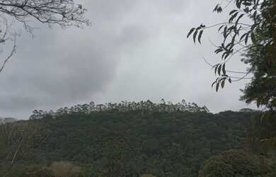 Imagem 5: Lindo terreno abaixo do valor de mercado apenas 47 mil reais