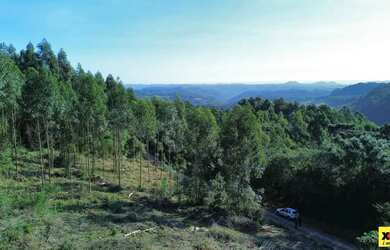 Imagem 3: Sítio / Chácara para Venda em Nova Petrópolis, Linha Imperial