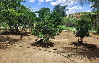 Imagem 9: Chácara em Guapó. 3.000m² de Área