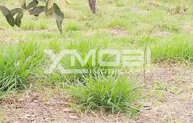 Imagem: O terreno possui 250m² de Área e está localizado em Centro