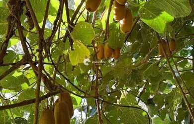 Imagem 16: Casa próxima a Prefeitura de Itaara - RS