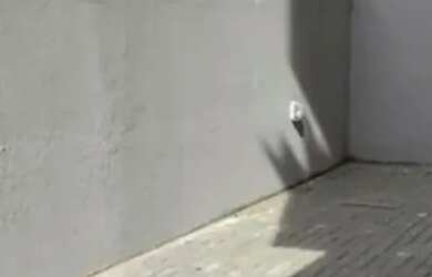 Imagem: O apartamento possui 2 Dormitórios, 1 Banheiro, 70m² de Área