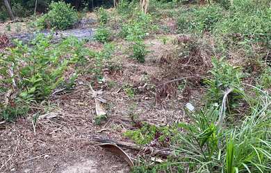 Imagem 14: VENDO TERRENO EM PANAQUATIRA