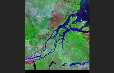 Imagem 2: Fazenda Caviana 3500 hectares