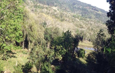 Imagem 13: Sítio Igrejinha 3 Ha Contendo uma casa de alvenaria por apenas R$500mil