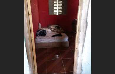 Imagem 7: Vendo casa ou alugo lomba