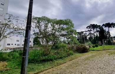 Imagem: O terreno está localizado em Nossa Senhora da Saúde, Caxias