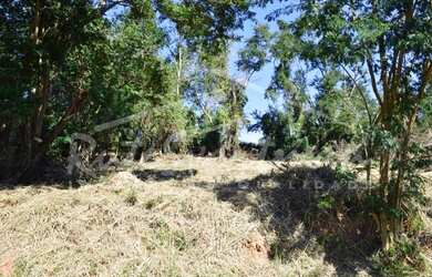 Imagem 4: Terreno à venda, 507 m² por R$ 290.000,00 - Joaquim Egídio - Campinas/SP