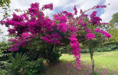 Imagem 11: Linda e aconchegante Pousada Encanto do Mar na praia do Rosa em Imbituba....