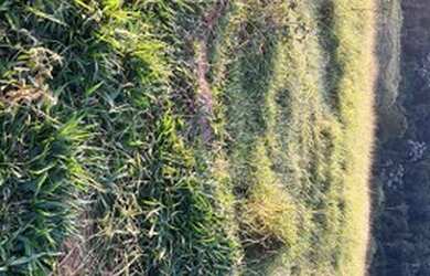 Imagem 6: Lote para venda tem 500 metros quadrados em Jardim Bela Vista - São José...