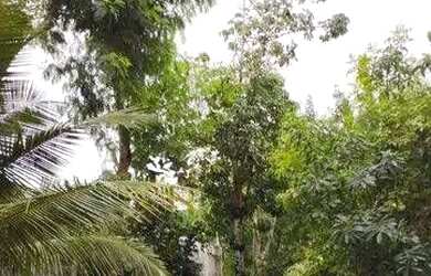 Imagem 8: Casa com 4 quartos em Piratininga