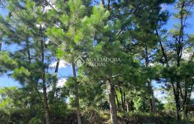 Imagem 12: Terreno de 430 m2 no Bairro Vivendas do Arvoredo