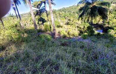 Imagem: A chácara possui 37m² de Área e está localizado em Valença