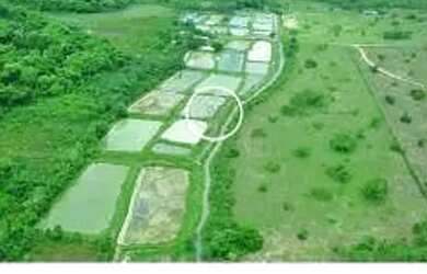 Imagem: A fazenda possui 200m² de Área e está localizado em Nobres