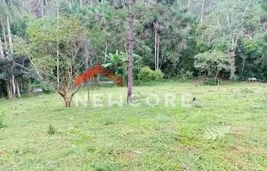 Imagem 8: Lote em Avenida Marta Maria de Jesus - Centro - Juquitiba/SP