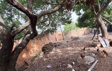 Imagem 10: 2 casas e lote 480m2