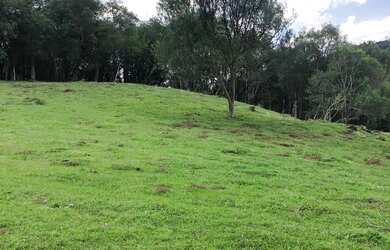 Imagem 11: Vendo chácara de 3,6 hectares na localidade da boca da serra