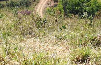 Imagem 13: chácara no rancho novo. Imóvel novoe1.080m² de Área