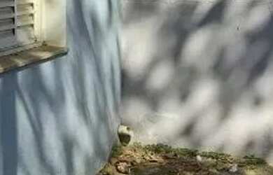 Imagem 2: Casa a venda no Jaguaré. Varanda, Imóvel novo, 55m² de Áreae1 Banheiro