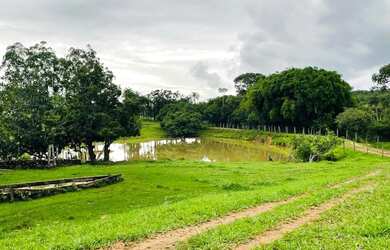 Imagem 2: Chácara de 8 alqueires em bela vista de Goias. 4 milhões avista