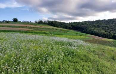 Imagem: O terreno possui 1.000m² de Área e está localizado em Jardim