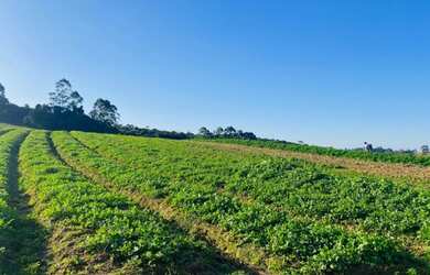 Imagem 8: Lote/Terreno para venda com 999 metros quadrados em Veleiros de Ibiúna - Ibiúna - São Paul