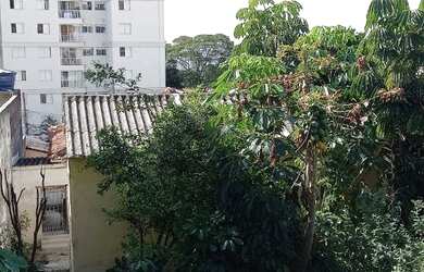 Imagem 7: Lote/Terreno para venda, 462 m2 no Jaguaré - São Paulo - São Paulo