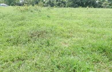 Imagem 1: faça tudo do seu jeito terreno de atibaia