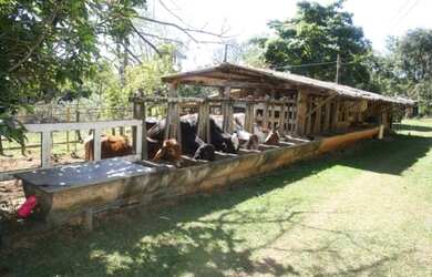 Imagem: A fazenda está localizado em Jaboticatubas, MG à venda por