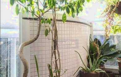 Imagem: O apartamento possui 3 Dormitórios, 5 Banheiros, 4 Vagas na