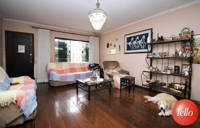 Imagem 8: São Paulo - Casa Padrão - Campo Belo