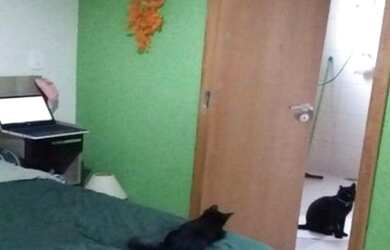 Imagem 16: Fazenda à venda 3 Quartos, 2 Suites, 45 Vagas, 5000M², Portão, Atibaia - SP