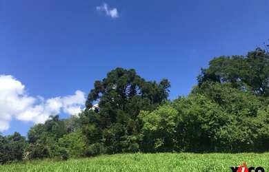 Imagem: A fazenda possui 11.918m² de Área e está localizado em Nova